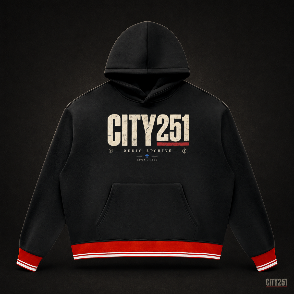 CITY251 Unisex Oversized Color Block Fleece Hoodie